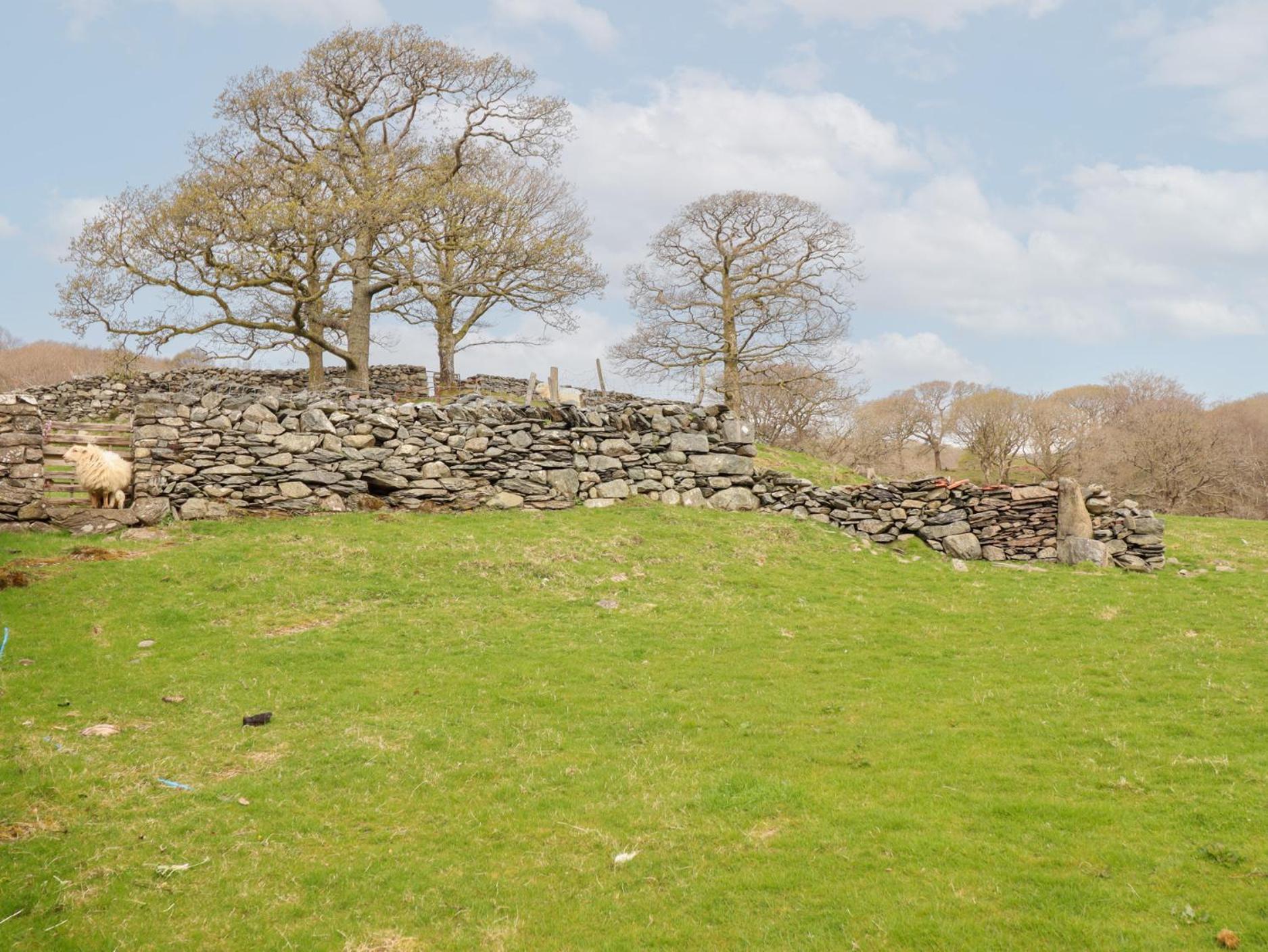 Villa Y Bwthyn Llanbedr  Exterior foto